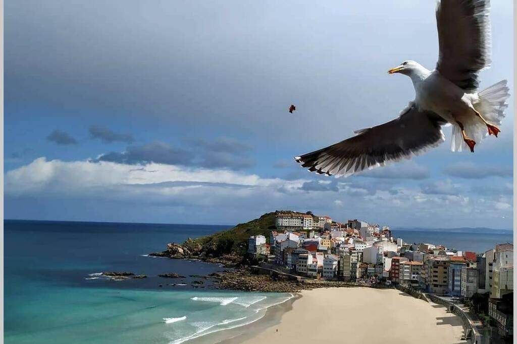 Apartamento Sisargas Malpica Εξωτερικό φωτογραφία